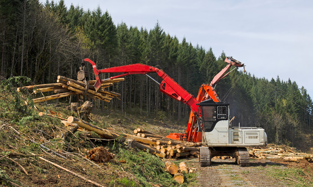 Hydraulic Components and Services for Forestry/Logging Equipment